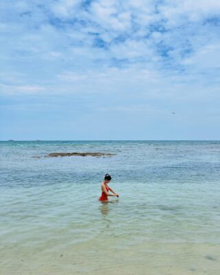 bow maylada 1721716620 3418329225229679784 8933298