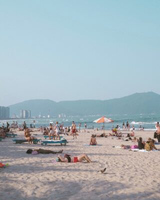 mcthanhthanhhuyen 1744464488 3609152173013591981 1735010481