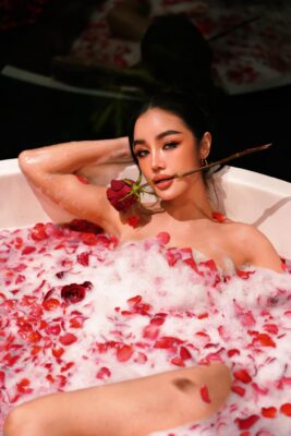 484611861 1203473541149723 5306303608031596803 n