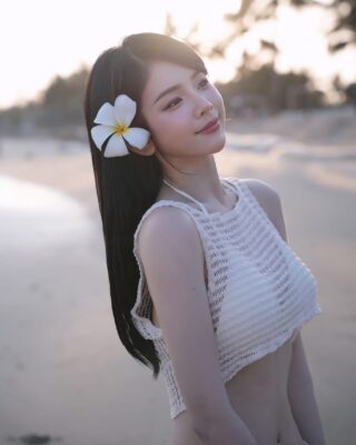 djmie95 1747374000 3633558930490084446 2261735206