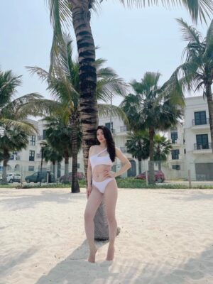 475809365 669955605372076 5228168661637565596 n