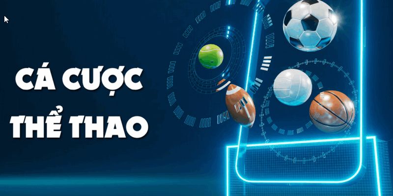 F8bet thể thao có hỗ trợ cá cược trực tiếp không?
