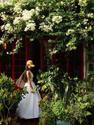 526895329 10223466850698984 6553897171793157938 n