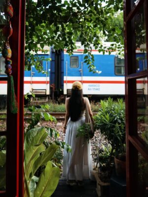 528178255 10223466847098894 2531037519204651941 n