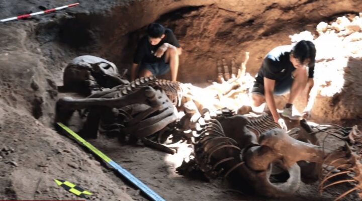 571053152 1146696980945837 296068317485761840 n