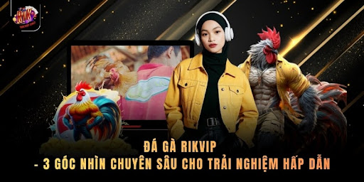 Đá Gà Rikvip - 3 Góc Nhìn Chuyên Sâu Cho Trải Nghiệm Hấp Dẫn