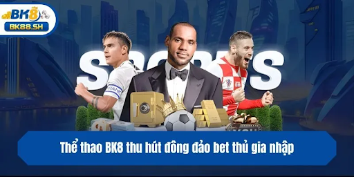 Thể thao bk8 – nơi trái tim chạy cùng trận đấu