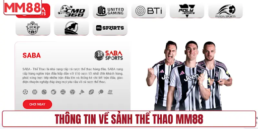 theo-the-thao-bang-du-lieu-cach-nguoi-choi-tiep-can-mm88-sports