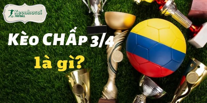 bat bai bay du cuc ky chuan