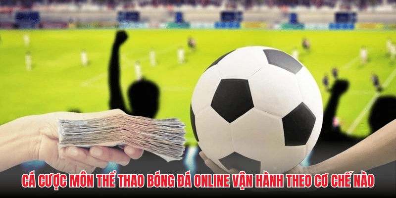 Cá cược môn thể thao bóng đá online vận hành theo cơ chế nào 